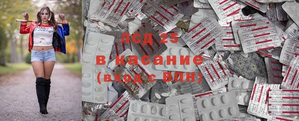 ГАЛЛЮЦИНОГЕННЫЕ ГРИБЫ Алзамай