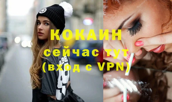 винт Алексин