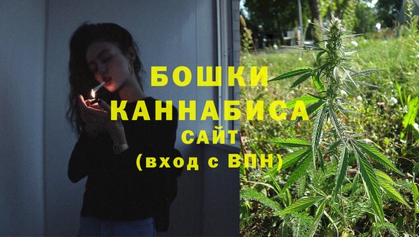 ГАЛЛЮЦИНОГЕННЫЕ ГРИБЫ Алзамай