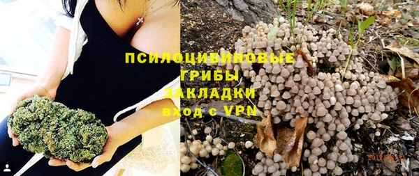 стафф Алексеевка