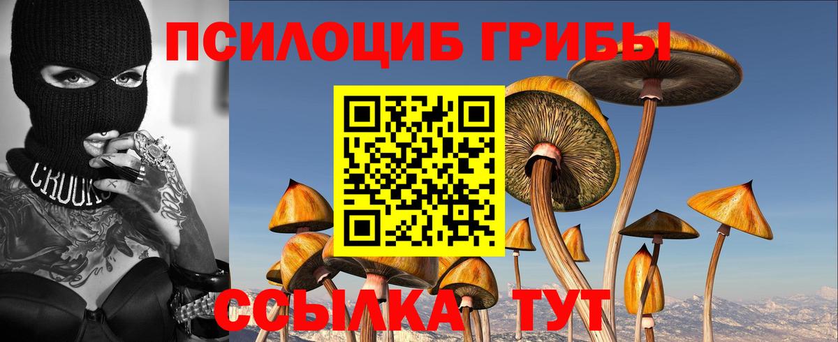 Псилоцибиновые грибы Cubensis  Вход с VPN  Галлюциногенные грибы ЛСД  Старый Оскол 